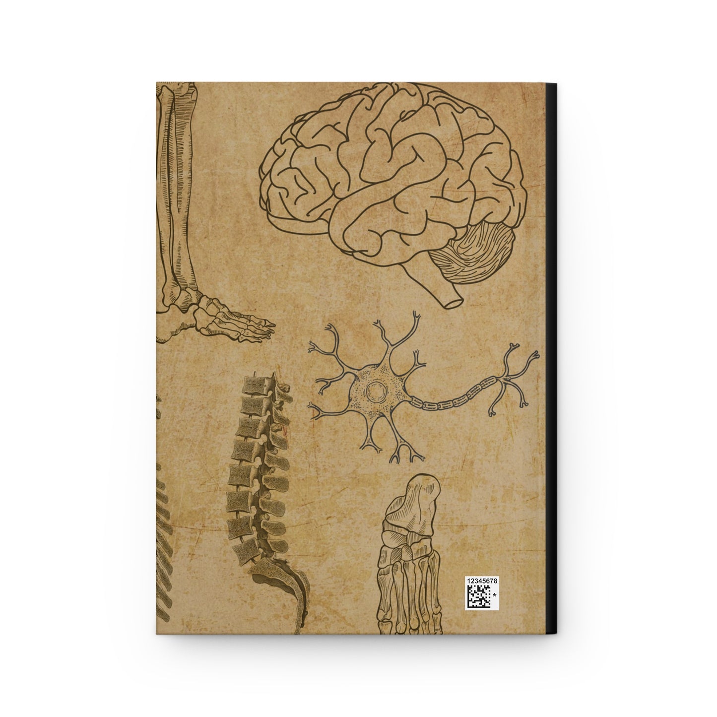 Vintage Medical Human Anatomical Sketch Hardcover Notebook Journal