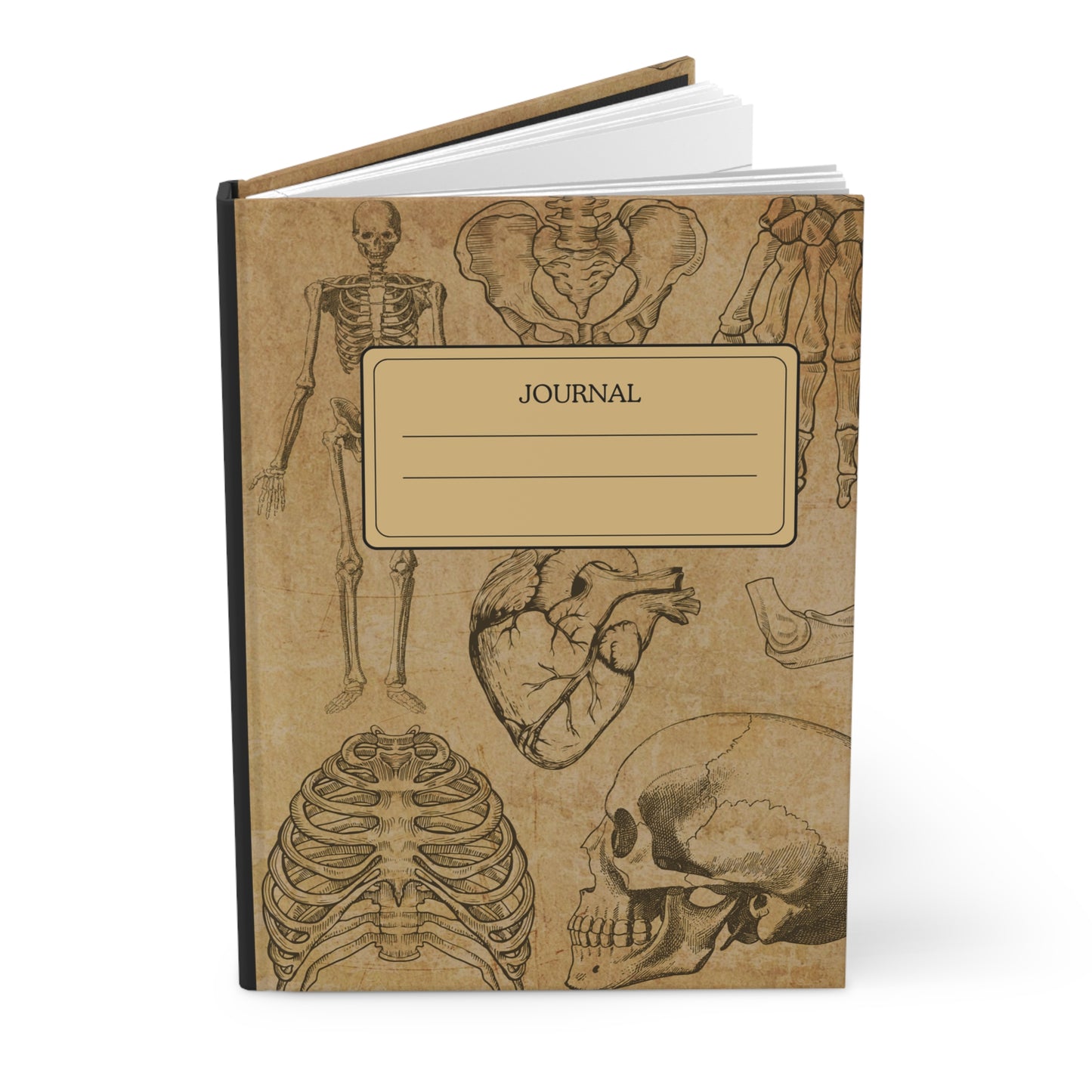 Vintage Medical Human Anatomical Sketch Hardcover Notebook Journal